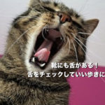 靴にも舌がある！舌をチェックしていい歩きになろう